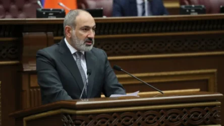 Արդար չէ, որ կառավարությանն ասում են՝ բա ինչու՞ մեր բակի շան հարցը չեք լուծում․ վարչապետ