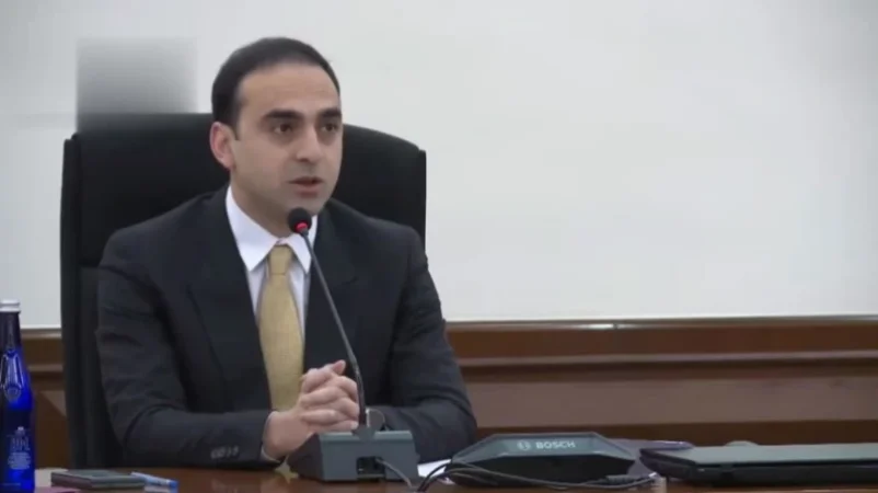 ՏԵՍԱՆՅՈՒԹ. «Փինաչու գործ է արած, տգեղ է». Ավինյան