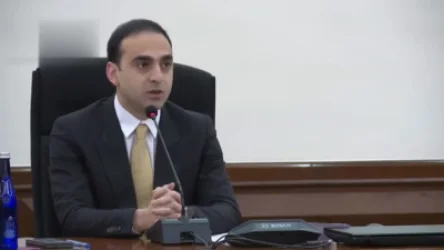 ՏԵՍԱՆՅՈՒԹ. «Փինաչու գործ է արած, տգեղ է». Ավինյան