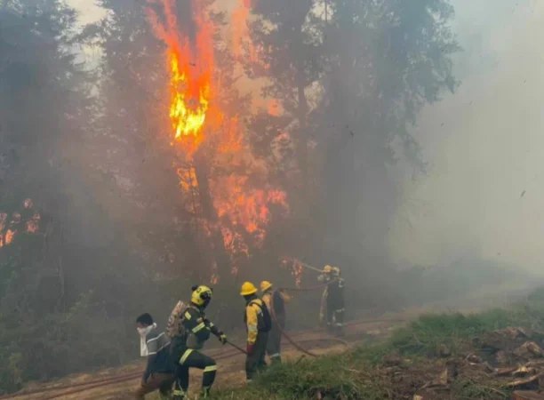 Կոլումբիայում Էլ Նինյո ֆենոմենի պատճառով մեկ տարով արտակարգ դրություն է մտցվել