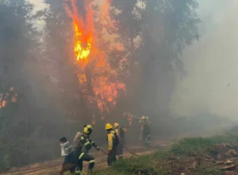 Կոլումբիայում Էլ Նինյո ֆենոմենի պատճառով մեկ տարով արտակարգ դրություն է մտցվել