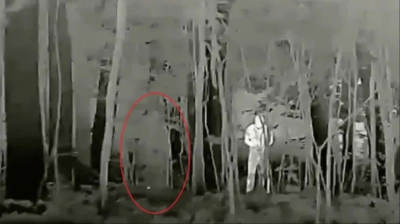 ԼՈՒՍԱՆԿԱՐՆԵՐ. Ռուսաստանը ստեղծել է զորքերի քողարկման նոր տեխնոլոգիա. Fox News