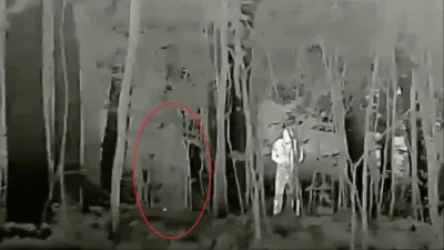 ԼՈՒՍԱՆԿԱՐՆԵՐ. Ռուսաստանը ստեղծել է զորքերի քողարկման նոր տեխնոլոգիա. Fox News