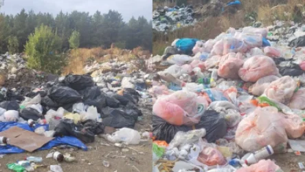 4-րդ դասի վտանգավորության մեծաքանակ կենցաղային աղբ՝ Սևանում