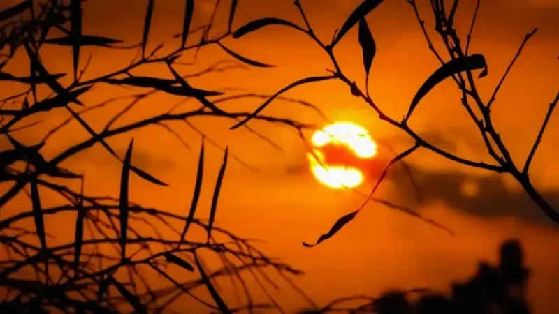 Դիտարկումների ամբողջ պատմության ընթացքում 2024 թ․-ի հունվարը ռեկորդային տաք է եղել