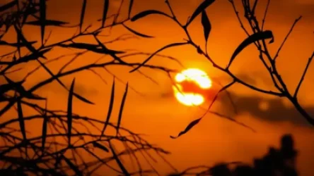 Դիտարկումների ամբողջ պատմության ընթացքում 2024 թ․-ի հունվարը ռեկորդային տաք է եղել