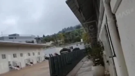 ՏԵՍԱՆՅՈՒԹ. Հրթրիռակոծվել է Իսրայելի հյուսիսը