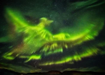 ԼՈՒՍԱՆԿԱՐՆԵՐ․ NASA-ն ցուցադրել է հյուսիսափայլի յուրօրինակ լուսանկարներ՝ թռչնի տեսքով