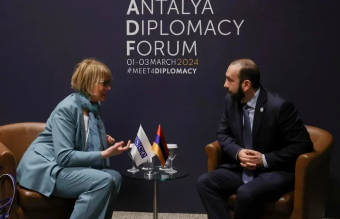 Հայտնի է` ինչ են քննարկել Արարատ Միրզոյանը և Հելգա Շմիդը