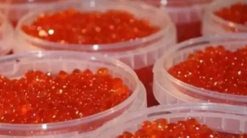 «Ռոսսելխոզնադզոր»-ը Հայաստանից ներմուծված իշխանի ձկնկիթի մեջ աղիքային ցուպիկի խմբի մանրէներ է հայտնաբերել