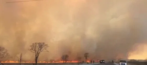 ՏԵՍԱՆՅՈՒԹ. Պրիմորիեում անտառային հրդեհները մոտեցում են գյուղերին. գործում է հրդեհային ռեժիմ