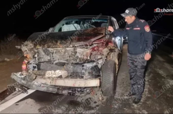 Ավտովթար Երևան-Երասխ ճանապարհին. Toyota-ն հարվածել է ոչխարի հոտին. 28 մայրացու ոչխարներ սատկել են. Shamshyan.com