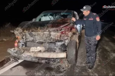 Ավտովթար Երևան-Երասխ ճանապարհին. Toyota-ն հարվածել է ոչխարի հոտին. 28 մայրացու ոչխարներ սատկել են. Shamshyan.com
