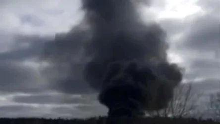 ՏԵՍԱՆՅՈՒԹ. 14 դի է հայտնաբերվել Իլ-76 ռազմական օդանավի կործանման վայրում