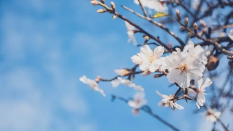 Ինչ եղանակ սպասել առաջիկա օրերին