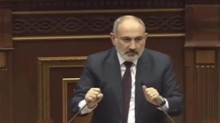 ՏԵՍԱՆՅՈՒԹ. Ես ուզում եմ հասկանալ` մեր ընդդիմությունը  կամ կոնկրետ անձը գլուխ բառի՞ց վատ զգաց, թ՞ե տղա բառից. Նիկոլ Փաշինյան