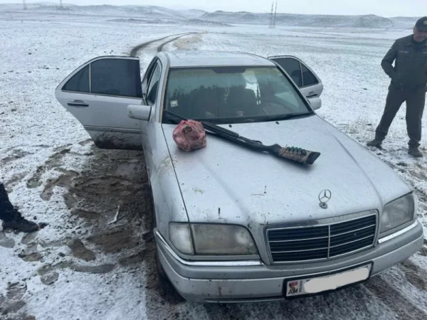 Որսագողություն Արագածոտնում․ տափաստանային արտույտի միգրացիայի ժամանակ 26 թռչուն են սպանել