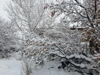 Հայաստանում կդիտվի ջերմաստիճանի կտրուկ բարձրացում