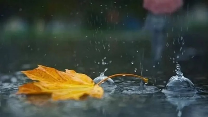 Առաջիկա օրերի եղանակային կանխատեսումների մասին