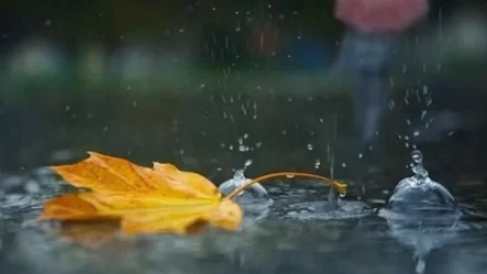 Առաջիկա օրերի եղանակային կանխատեսումների մասին