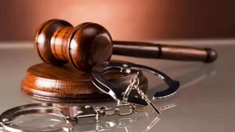 ԵԿՄ նախկին փոխնախագահ Ալբերտ Բազեյանը ձերբակալվել է