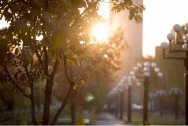 ԵՂԱՆԱԿ. Օդի ջերմաստիճանը կբարձրանա