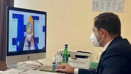 Սուրեն Պապիկյանը տեսակապի ձևաչափով հանդիպում է ունեցել ԵՄ դեսպան Անդրեա Վիկտորինի հետ