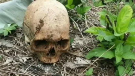 Կապուտանում մարդու գանգ հայտնաբերելու դեպքի առթիվ քրեական գործ է հարուցվել