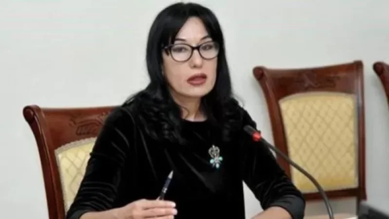 Հրատապ կազմակերպել Բեյրութ-Երևան չարտերային չվերթ. Նաիրա Զոհրաբյան