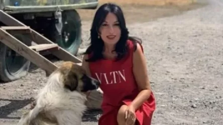 Չալոն, որի ձագերին ճզմեցին Ամուլսարի տարածքում, պաշտպանական դիրքերից մի քայլ չի հեռանում. Զոհրաբյան