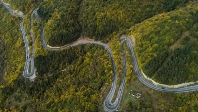 Այս պահին Հայաստանի Հանրապետության անտառածածկ տարածքը կազմում է 332332 հա