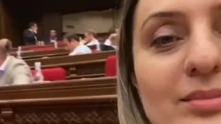 ՏԵՍԱՆՅՈՒԹ. Բաթոյանը ԱԺ-ում տիկ-տոկ է նկարել