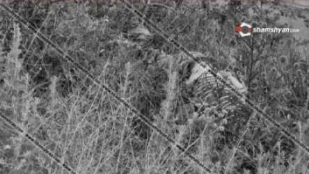 Ոստիկանները Դավիթաշենի կամրջի տակ՝ բերանքսիվայր հայտնաբերել են երիտասարդ տղայի դի