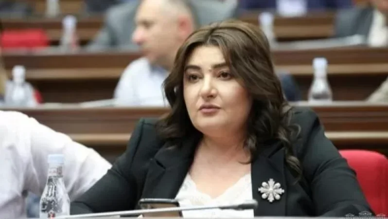 Ծառուկյանի վրա ցեխ շպրտելու գործիքակազմը սպառվել է, անցել են երևակայությանը. Տոնոյան