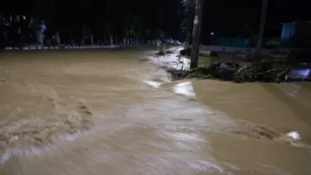 ՏԵՍԱՆՅՈՒԹ. Վրաստանի արևմուտքում հեղեղումներ են