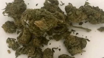 ԱՄՆ-ից ՀՀ «մարիխուանա» տեսակի թմրամիջոց են ներմուծել. ՊԵԿ