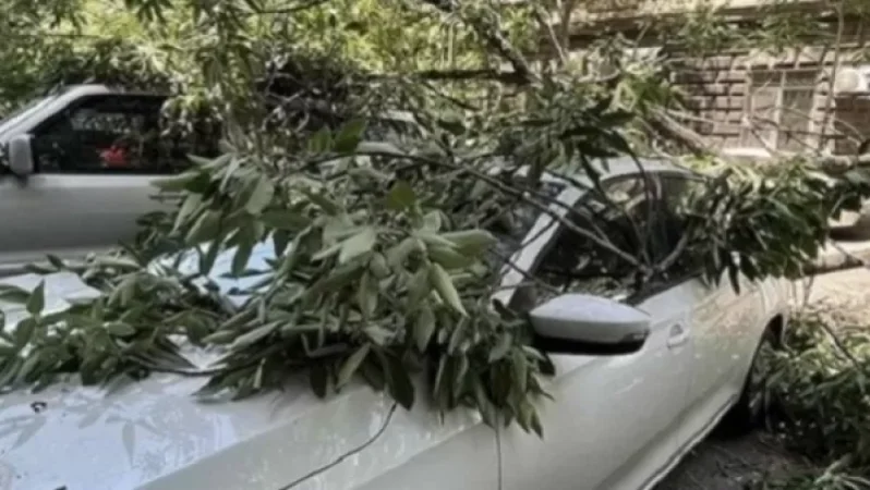Երևանի կենտրոնում ծառը կոտրվել և ընկել է ավտոմեքենայի վրա