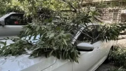 Երևանի կենտրոնում ծառը կոտրվել և ընկել է ավտոմեքենայի վրա