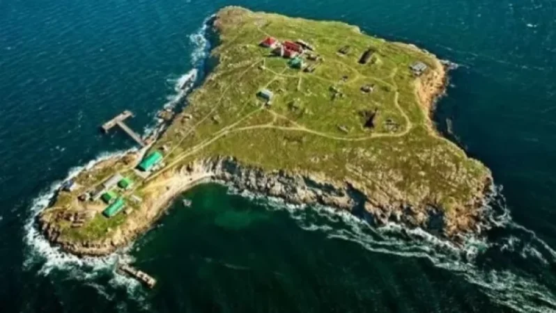 Զմեինի կղզին պաշտոնապես վերադարձվել է ուկրաինական կողմին