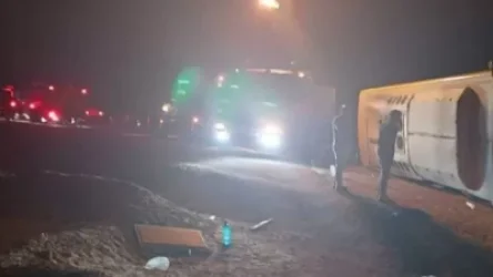 Եգիպտոսում ավտոբուս է վթարի ենթարկվել. կան զոհեր և վիրավորներ