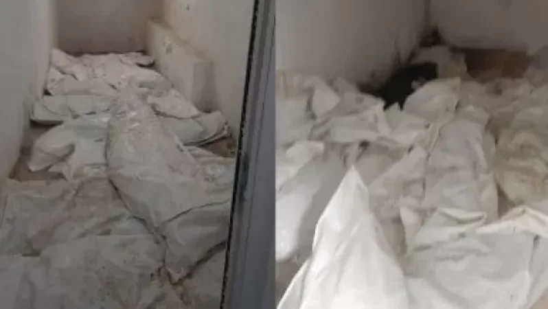 Պատերազմում զոհված զինծառայողների ևս 50 մասունք է ուղարկվել Նիդերլանդներ