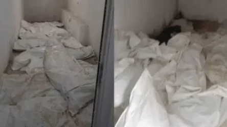 Պատերազմում զոհված զինծառայողների ևս 50 մասունք է ուղարկվել Նիդերլանդներ