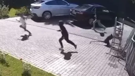 ՏԵՍԱՆՅՈՒԹ․ Կապիկը հարձակվել է երեխաների վրա․ մեծերը փախել են, փոքրիկը՝ հայտնվել կենդանու ճանկերում