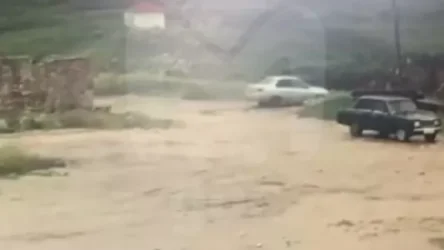 ՏԵՍԱՆՅՈՒԹ․ Զբոսաշրջիկների մեքենան հարյուրավոր մետրեր գլորվելով հայտնվել է Ցոլոտլինսկի կիրճում