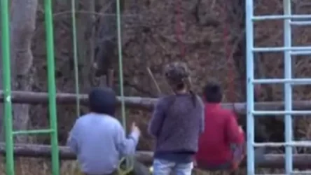 ՏԵՍԱՆՅՈՒԹ. Այս երեխաների կյանքի և կրթության իրավունքն այսօր ոտնահարված է