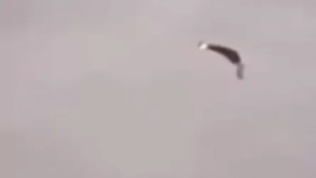 ՏԵՍԱՆՅՈՒԹ. Արցախի երկնքում ոչնչացվել է ադրբեջանական ԱԹՍ կամ Ան -2 ինքնաթիռ