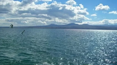 Սևանա լիճ թափվող բոլոր գետերն աղտոտված են կենսածին նյութերով