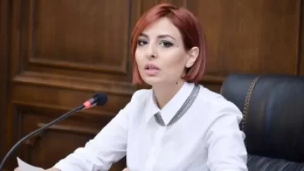 Անի Սամսոնյանը դիմել է ՀՀ պաշտպանության նախարարին՝ անհայտ կորած պայմանագրային զինծառայողների սոցիալական երաշխիքներ ապահովելու գրությամբ