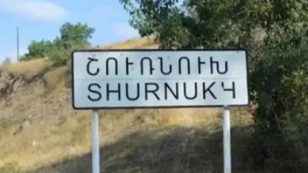 Սպասում են, որ «բիզիմդերները» գան, որ ասեն՝ էս կողմը դուք կանգնեք, էն կողմը մենք. Շուռնուխի գյուղապետ