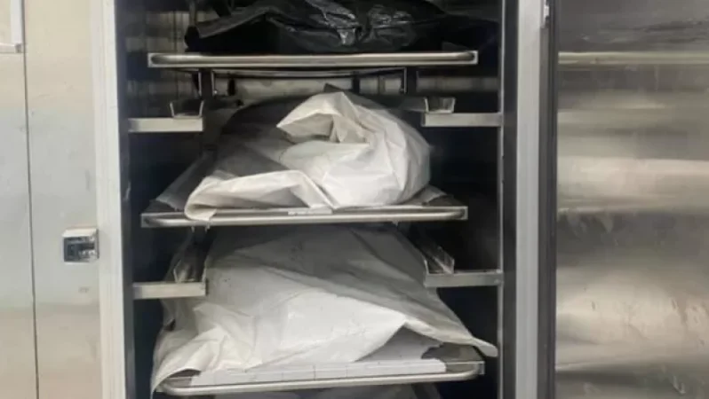 Ոսկորներ ենք պահում, առանձին ծնոտ, առանձին նախադաստակային ոսկոր․ քանի՞ դի կա Արմավիրի մարզային բաժնում